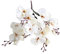SMLJFO Künstlicher Magnolienstrauß, realistische Magnolie, Blumenarrangements, echte Haptik, Seide, Magnolie, Blumen, Brautschmuck, Hochzeitsstrauß für Zuhause, Tischdekoration, Foto-Requisiten.