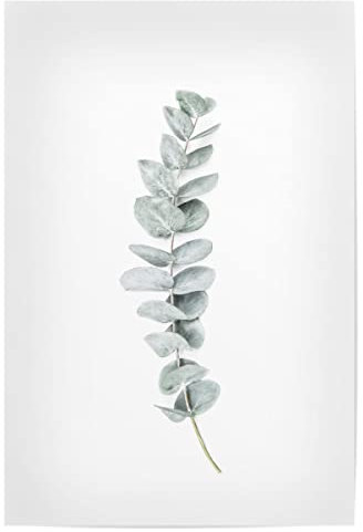 artboxONE Poster 30x20 cm Eukalyptus Natur Eucalyptus II hochwertiger Design Kunstdruck - Bild Eucalyptus Branch chic