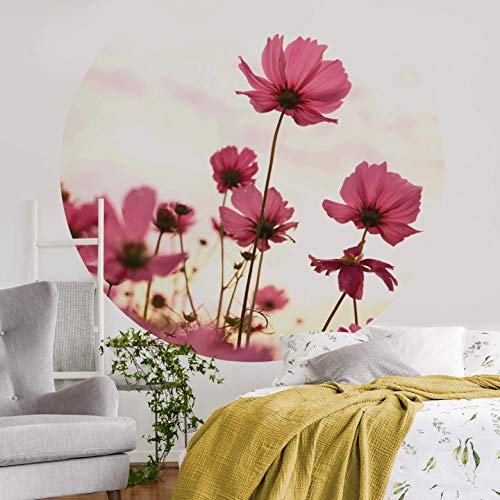 Fototapete Vliestapete Rund Pinke Kosmeen Cosmos Blumen Blüten Sommer Natur Blumenfeld Sonnenuntergang Fotografie inkl. Schablone Ø140cm