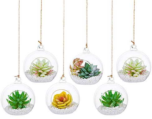 Plantas Colgantes de Aire 6 Piezas Portavelas de 4 Inches Cristal Terrario Portavelas Contenedores de Plantas de Vidrio para el Diseño de Bricolaje de Jardín de Bodas en Casa