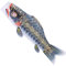 Ipetboom Jahrestag e Fisch Windsock Flagge Nobori Koinobori Flagge Fisch Wind Streamer für im Freien Garten Hof Neujahr Dekoration Schwarz Fischflagge Terassendeko, 100x27cm
