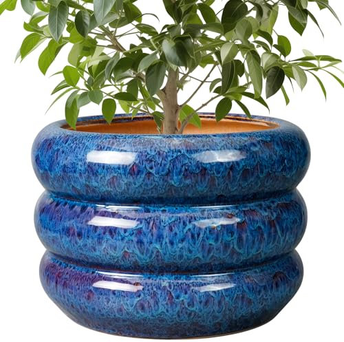 SQOWL Keramiktopf für Pflanzen – 25,4 cm Pflanztopf für drinnen und draußen, Übertopf mit Drainageloch großer Blumentopf, dekorativer Blumentopf für Terrasse, Wohnzimmer, Dekoration, Blau