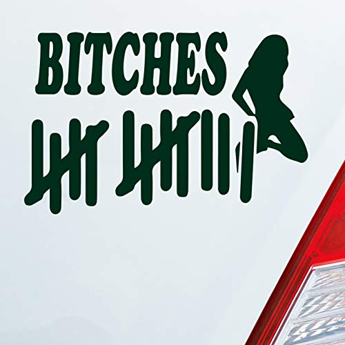Hellweg Druckerei Strichliste Bitches Tally List Frau Fun PKW Auto Aufkleber Sticker Heckscheibenaufkleber