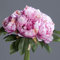 Seidenblumen Roß Pfingstrosenbund mit 8 Blüten 36cm rosa-pink DP Kunstlbumen künstliche Pfingstrosen Strauß