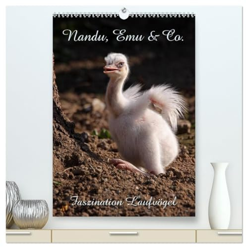 Nandu, Emu & Co. (hochwertiger Premium Wandkalender 2026 DIN A2 hoch), Kunstdruck in Hochglanz: Faszination Laufvögel (CALVENDO Tiere)