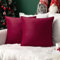 MIULEE 2er Set Samt Kissenbezug Flansch Kissenhülle Dekorative Sofakissen Dekokissen Umwickelte Kante Kissenbezüge Zierkissenbezug für Sofa Wohnzimmer Schlafzimmer 50x50 cm Wein Rot