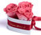 ROSEMARIE SCHULZ Heidelberg Infinity Rosenbox Herz Wunschtext personalisiert - 3 ewige Rosen korall-rot in Box 10x12cm haltbar 3 Jahre - persönliche Beste Freundin Geschenke (Wunschtext, Korall)