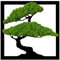 ProArts Moosbild Bonsai Baum Quadrat - Moosbilder mit Rahmen 30x30cm - Mooswand Lebend Natürliches - Pflanzenbild Handgefertigt mit Moos Rentierflechte