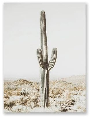 Wüste Saguaro Skandinavien Leinwand Poster Drucke Pastell Saguaro Kaktus Botanische Fotografie Wand Kunst Bild Malerei Home Decor 40X50Cm Kein Rahmen