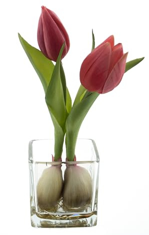 mucplants Künstliche Tulpen im Glas, Tischdekoration, ca. 19 cm Höhe, Osterdekoration, Tulpenarrangement (Beauty)