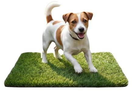 Artificial Grass for Dogs with Reusable Puppy Pad, Pet Pee Fake Grass | Artificial Pet Pee Grass Mat for Puppy, Dog Toilet Grass Mat Potty Training Grass Pads for Dog Training(Green, 46 X 71 cm)