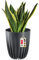 KADAX Pot de Fleurs en Plastique Avec Matériaux Naturels - Moderne Avec Motif Géométrique - Rond Avec Insert - Naturel - Haut (∅ 25 cm, Anthracite)