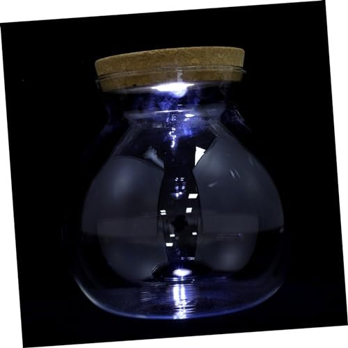 Kisangel Landschaftsflasche Herzbehälter Dekorationen Für Aquarien Container Flaschenfisch Beleuchtung Fischflaschenbecken Led Luft Deckel Panzer Sehr Weiß Glas Mit Hohem Borosilikatgehalt