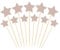 PATIKIL Little Star Cupcake Toppers, 50 Pcs Star Cupcake Picks Birthday Cake Decorations for Wedding Engagement Bridal Shower Party Supplies, Champagne