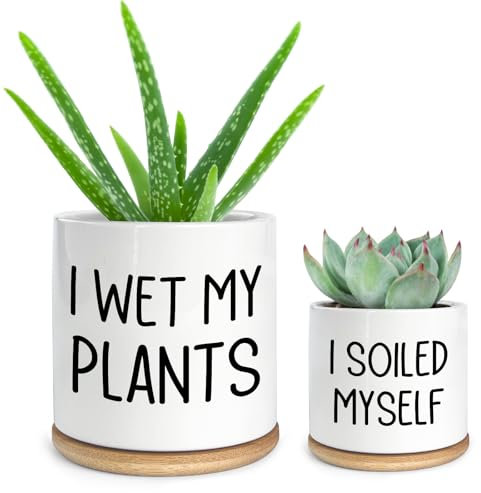 Cgvovgr I Wet My Plants Small Planter Pot, Funny Ceramic Succulent Planter Pots Set of 2, Office Windowsill Decor Indoor, Small Succulent Pots for Women Plant Lovers, 3.5 inch (Plant Not Included)