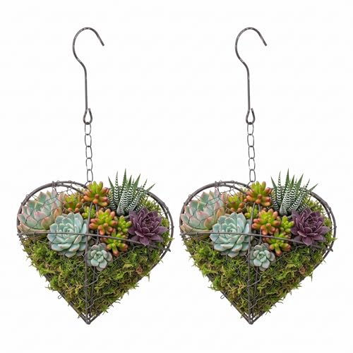 JOINPAYA 2 Stück Herzförmiger Hängekorb Aus Eisen Pflanzkorb Zum Aufhängen Für Sukkulenten Und Luftpflanzen Herz Deko Hängend Für Garten Balkon Und Innenbereich Silber 21.00 X 20.00 X 10.00 cm