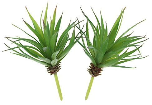 LJY 2 Stück naturnahe Künstliche Faux Sukkulente Yucca Vera Gewächshaus Kleine Pflanzen Unpotted für Zuhause Garten Dekoration Grün - Spring Green