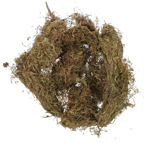 CORHAD 2 Packungen Natürliches Moos Grün Weiches Trockenmoos für DIY Dekoration Kleintier Lebensraum Hamster Einstreu Micro Szene Flechte Pflanzen Topf Deko