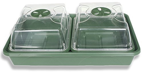 EarlyGrow MPL50081/P 2-Bay Windowsill Propagator - 38cm - Green