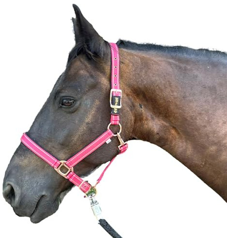 Halfter für Pferde mit Glitzer in Rosegold, Halfter Pferd in schwarz und pink, 2-Fach verstellbar (Pink Rosegold, Shetland Pony (Shetty))