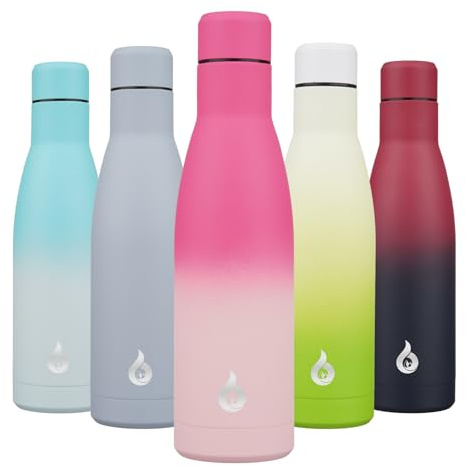 BJPKPK Insulated Water Bottle 17oz Stainless Steel Water Cup Bottles Disawasher Safe Reusable Metal Thermos Keep Cold and Hot,Cherry