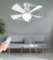 Ceiling Fans with Lights and Remote, 40W Small LED Ceiling Fan 2H/4H Timer, Dimmable, E27 Bulb Fixture, Upgrade Your Comfort with Quiet 3 Speed Fan Lights - Perfect for Bedroom Living Room, 0.55kg