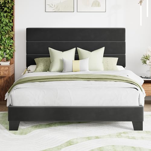 MUTICOR Polsterbett 160x200 cm Samt mit gepolstertem Kopfteil, Schwarz | Weiches Kopfteil, 11,5 cm Stauraum, 363 kg Belastbarkeit, Geräuschfrei, Kein Boxspring, Einfache Montage