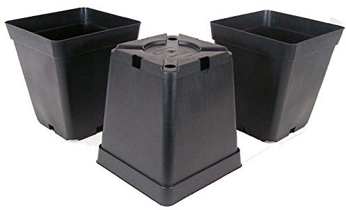 Plug and Grow Brand 11cm x 11cm x 12cm 1.0 Litre Black Square Plastic Plant Pot Pack of 100