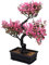 MAGICLULU Künstliche Bonsai Pflanze Im Topf Realistische Deko Für Wohnzimmer Büro Und Küche Pflegeleichte Kunstpflanze Für Stilvolle Wohnräume
