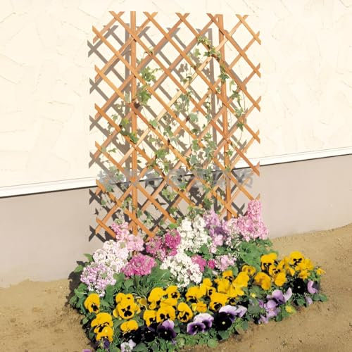 GUOGLZ Erweiterbares Pflanzengitter Holzgitter Wandpflanzer Pflanzenstütze Zaun Vertikaler Rack Ständer Für Zimmer Terrasse Outdoor