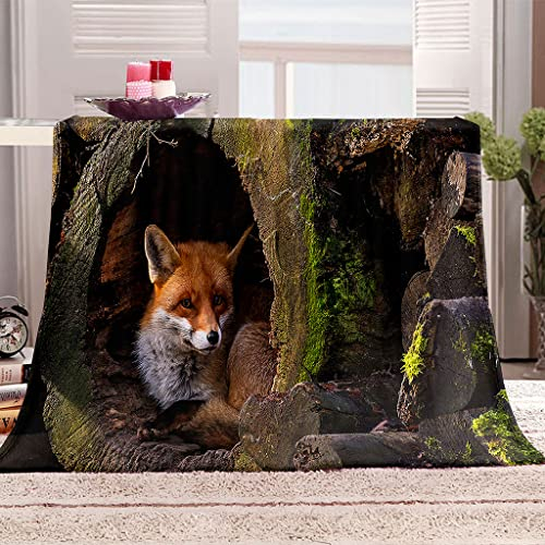 DUCATS Flanelldecke Fuchs 180 x 200 cm Überwurfdecke aus Mikrofaser - Weiche und gemütliche Decke mit 3D - Gemütliche Bett - und Sofabezüge für Jungen und Mädchen