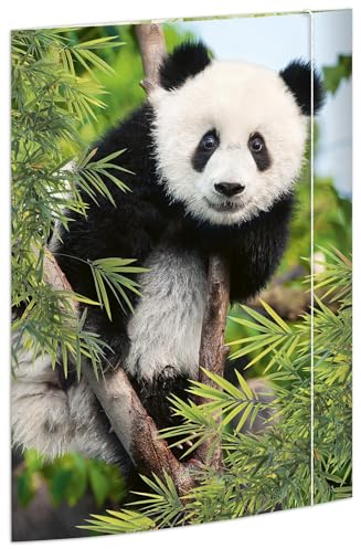RNKVERLAG 45376 - Zeichenmappe Panda 310 x 440 mm, Dokumentenmappe für DIN A3, mit Gummizugverschluss, 1 Stück