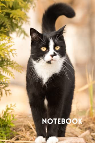 Notebook: With An Adorable Tuxedo Cat