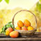 Mango Samen Bonsaibaum BäUme Garten Winterhart Sapote Frucht Obstbaum Winterharte Pflanzen FüR Garten Bio Saatgut Balkonpflanzen Sukkulenten Samen Winterschutz Pflanzen ZüChten Obst 5 StüCke