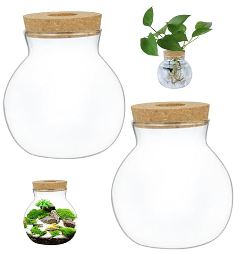 Terrarium bocal en Verre terrarium Transparent