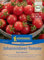 Kiepenkerl Johannisbeer-Tomatensamen Rote Murmel 1033720 – BIO - widerstandsfähig - leuchtend rot - ertragreich - Tomatenpflanzen, Samen Gemüse, Saatgut