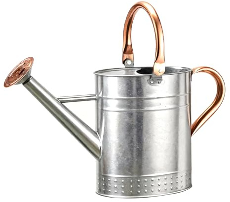 Bamworld Arrosoir 1 Gallon Acier Inoxydable pour Plantes d'Intérieur - Long Bec pour Arrosage Intérieur/Extérieur Jardinage Argent