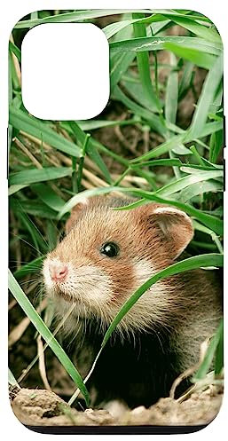 Hamster Hülle für iPhone 15