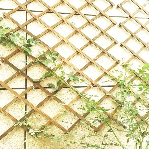 AMH - Expandable Garden Plant Trellis, Natural Wooden Trellis Fence Panels, Flowers Climbing Plants Support, Wall Decor Hanging Frame for Room Garden Indoor Outdoor (Natural (30 x 180cm (1ft x 6ft)))