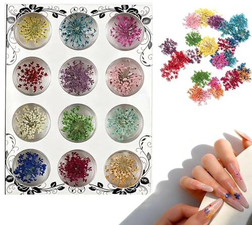 DIYCUT Getrocknete Blumen für Nageldesign, Dried Nail Art Flowers, 12 Farben