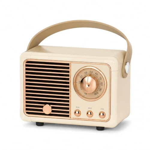MONTY SOUL Mini Cassa Bluetooth Retrò 5W, Altoparlante Portatile HiFi 360°, Radio FM, Microfono Integrato, Supporto Scheda TF, USB e AUX, Batteria Ricaricabile 400 mAh (HM11)