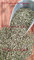 Orégano Hojas 1000 grs - Orégano Hierba Seca 100 % Natural ( Fotos Real del producto )