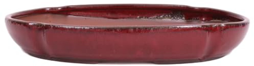 Bonsai - Schale, Waldschale, oval 32.5 x 23 x 5 cm Bordeaux 51354