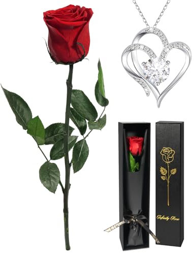 Yamonic Ewige Rose mit Herz Halskette Silber 925,Geschenke für Frauen,Echte Rose mit Kette Damen,Infinity Rose Valentinstag Muttertag,Konservierte Blume Frauen Geschenk Weihnachten Mama Oma