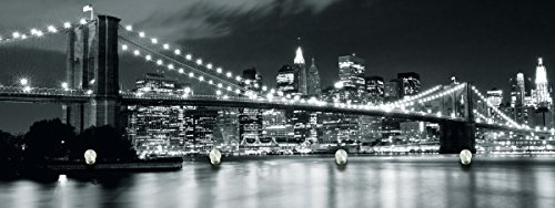 EuroGraphics Glasbilder Garderobe 30x80cm (Brooklyn Bridge Night)