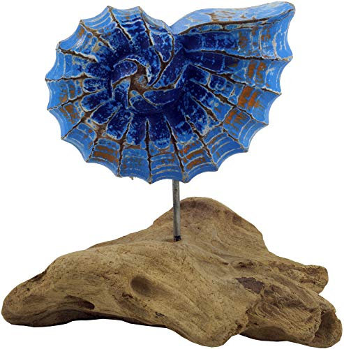 GURU SHOP Dekofigur Muschel aus Holz - Modell 7, 16x17x9 cm