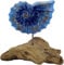 GURU SHOP Dekofigur Muschel aus Holz - Modell 7, Blau, 16x17x9 cm, Dekoobjekte