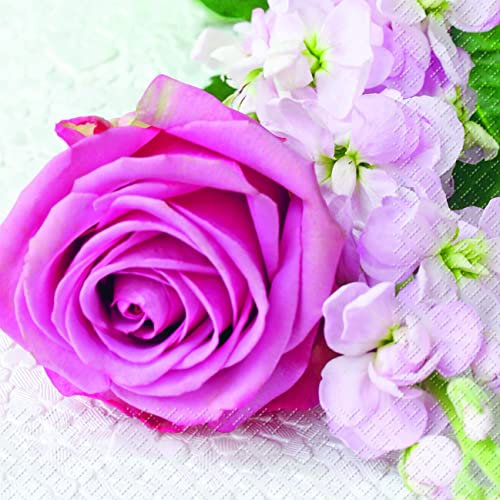 Stewo Servietten 20 Stk. Rose