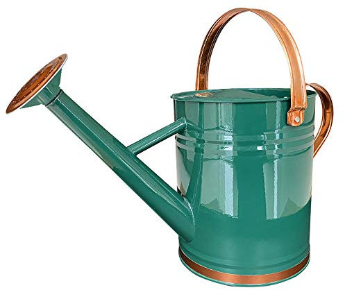 SunnyTong Regadera de Metal para Plantas de Exterior e Interior, decoración de regadera, 1 galón (1 galón verde2)