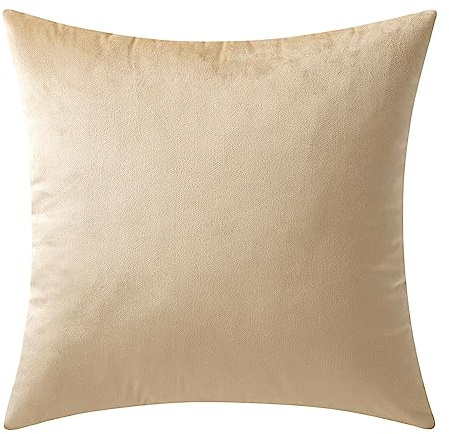 MIULEE 1 Stück Samt Kissenbezug Kissenhülle Dekorative Sofakissen Dekokissen Deko Couchkissen Zierkissen Bezug mit Verstecktem Reißverschluss für Sofa Schlafzimmer 45x45 cm Beige
